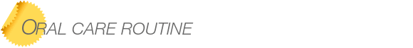 Dentist Bellevue Oral Care Routine