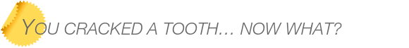 Dentist Bellevue You Cracked a Tooth… Now What?