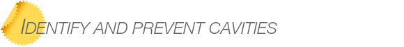 Dentist Bellevue Identify and Prevent Cavities