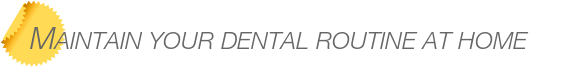 Dentist Bellevue Maintain Your Dental Routine at Home