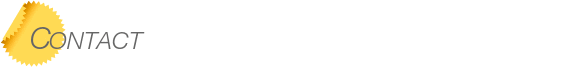 Bellevue Washington Dentist